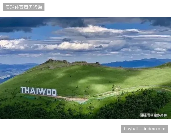 世界田联路跑协议倒逼运营方下沉核心数据，赛事资产管理告别粗放模式